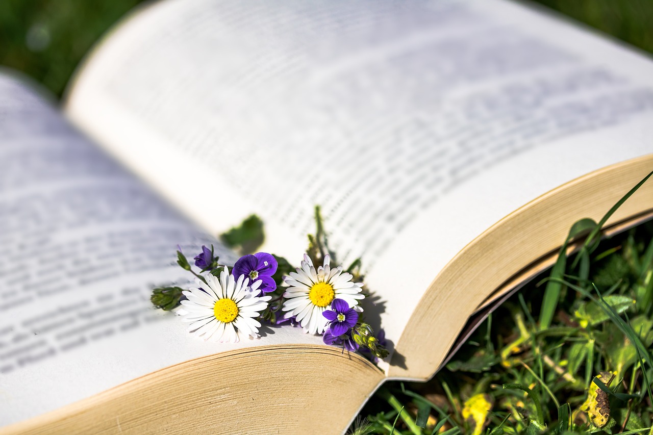 Daisy in a book