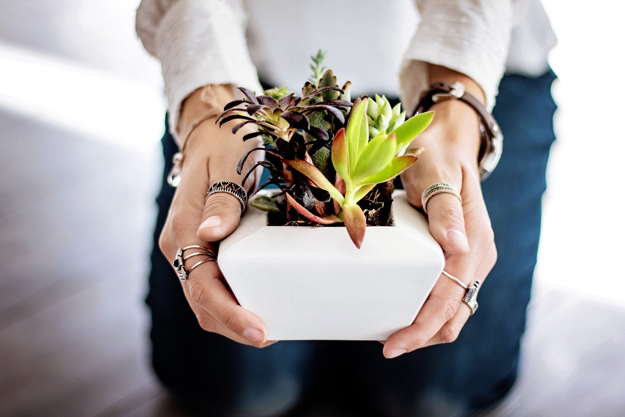 Plant Care