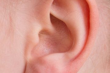 The ear