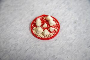 Kidney stones on a small red dish