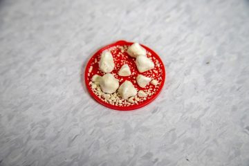 Kidney stones on a small red dish