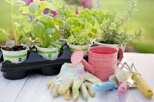 Homeopathy for Gardeners: Seasonal Practice