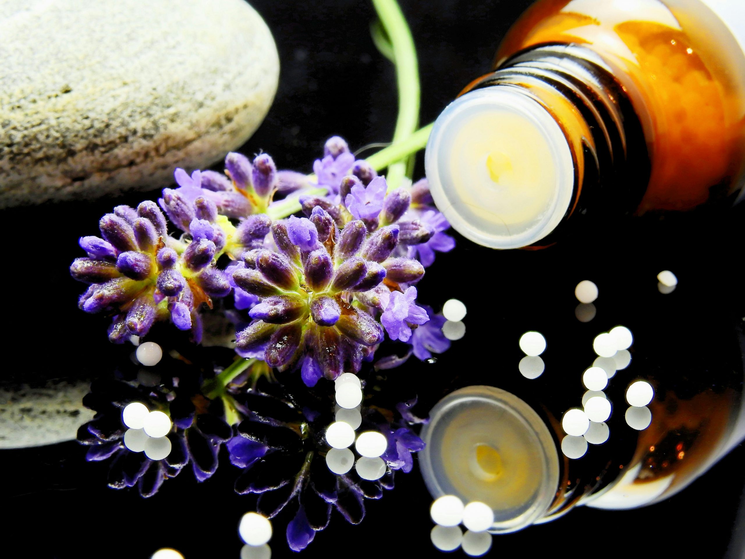 Pioneers of Homeopathy