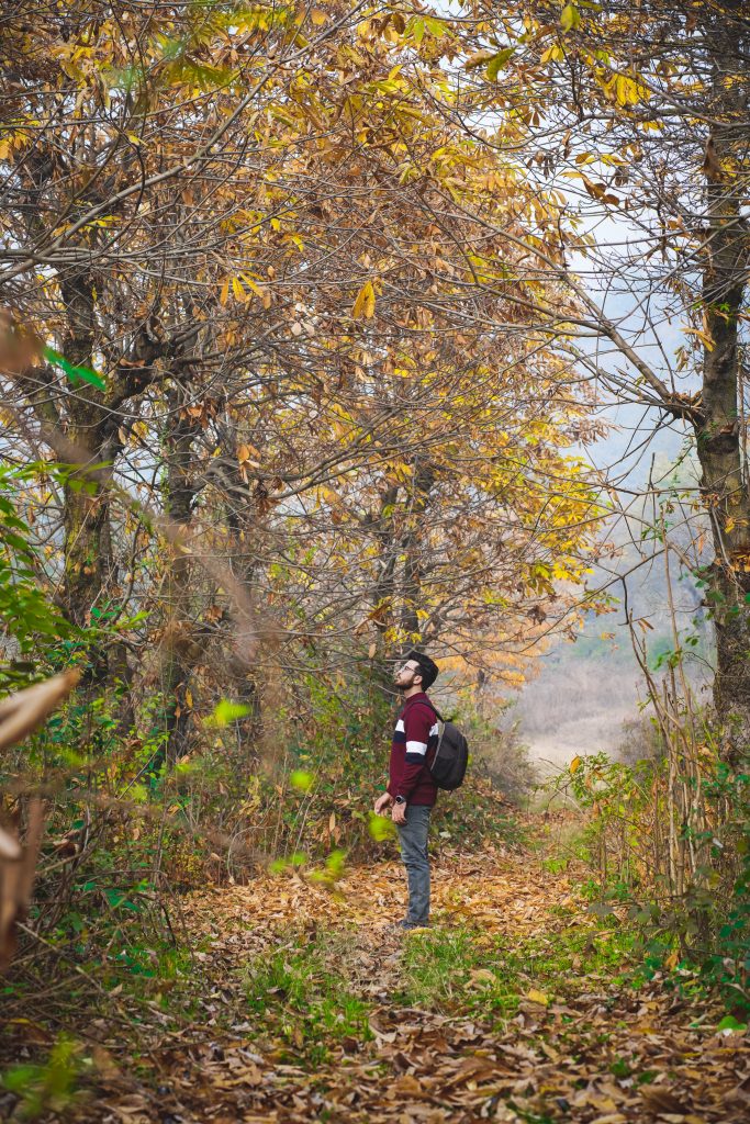 A young man taking a walk in nature and looking up at trees