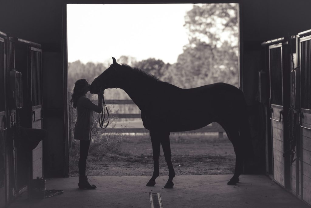 Silhouette of a woman and her horse touching noses in a stable doorway