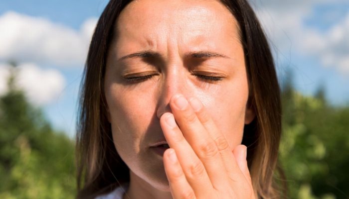 Hay fever