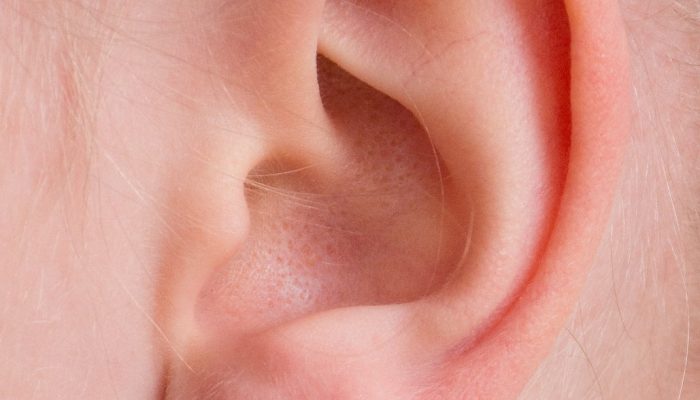 The ear