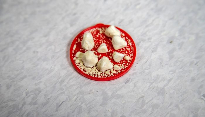Kidney stones on a small red dish
